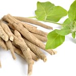 Withania Somnifera or Ashwagandha good for